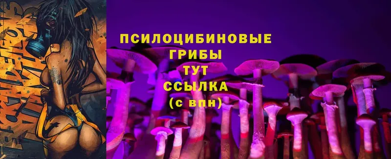 что такое наркотик  Елабуга  Галлюциногенные грибы Magic Shrooms 